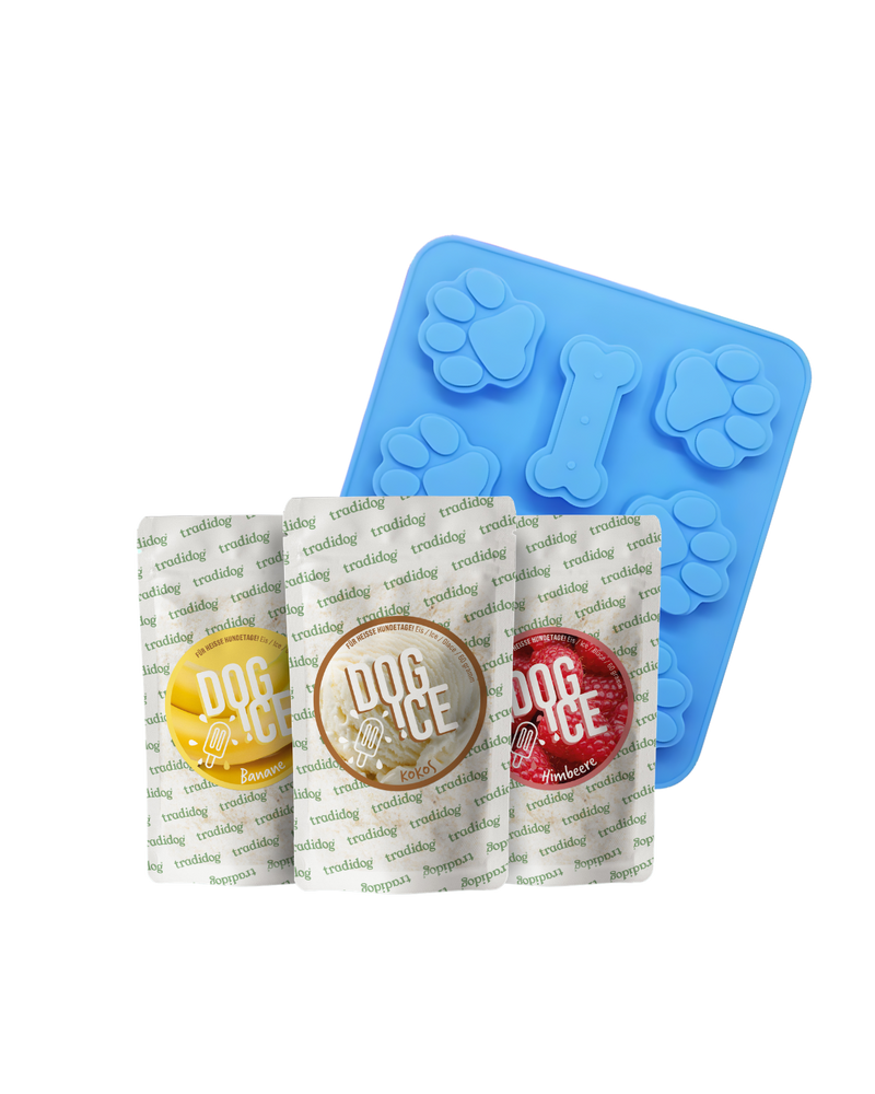 tradidog DOG-ICE Starter-Set – Hundeeis