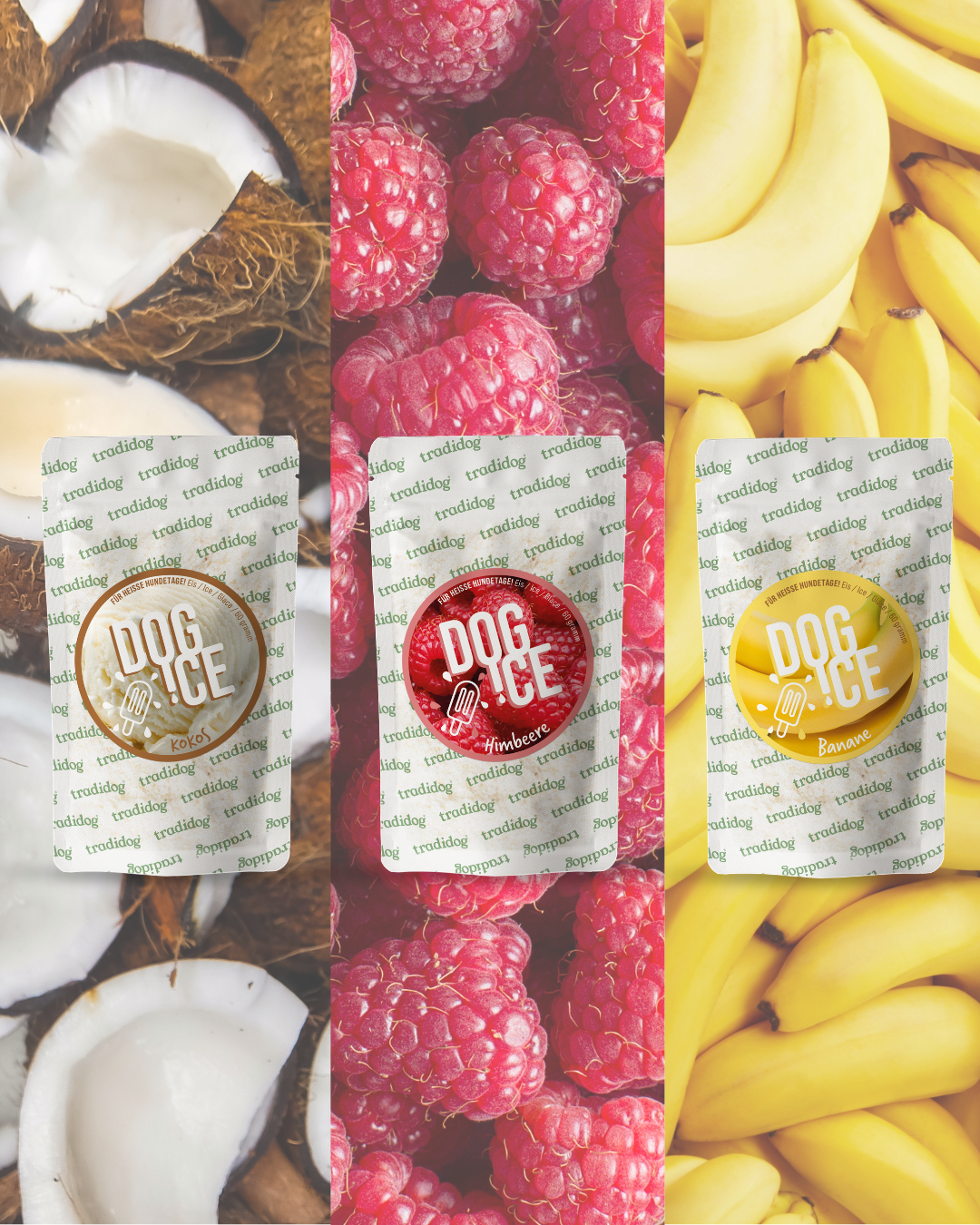 Dog-Ice Starter-Set