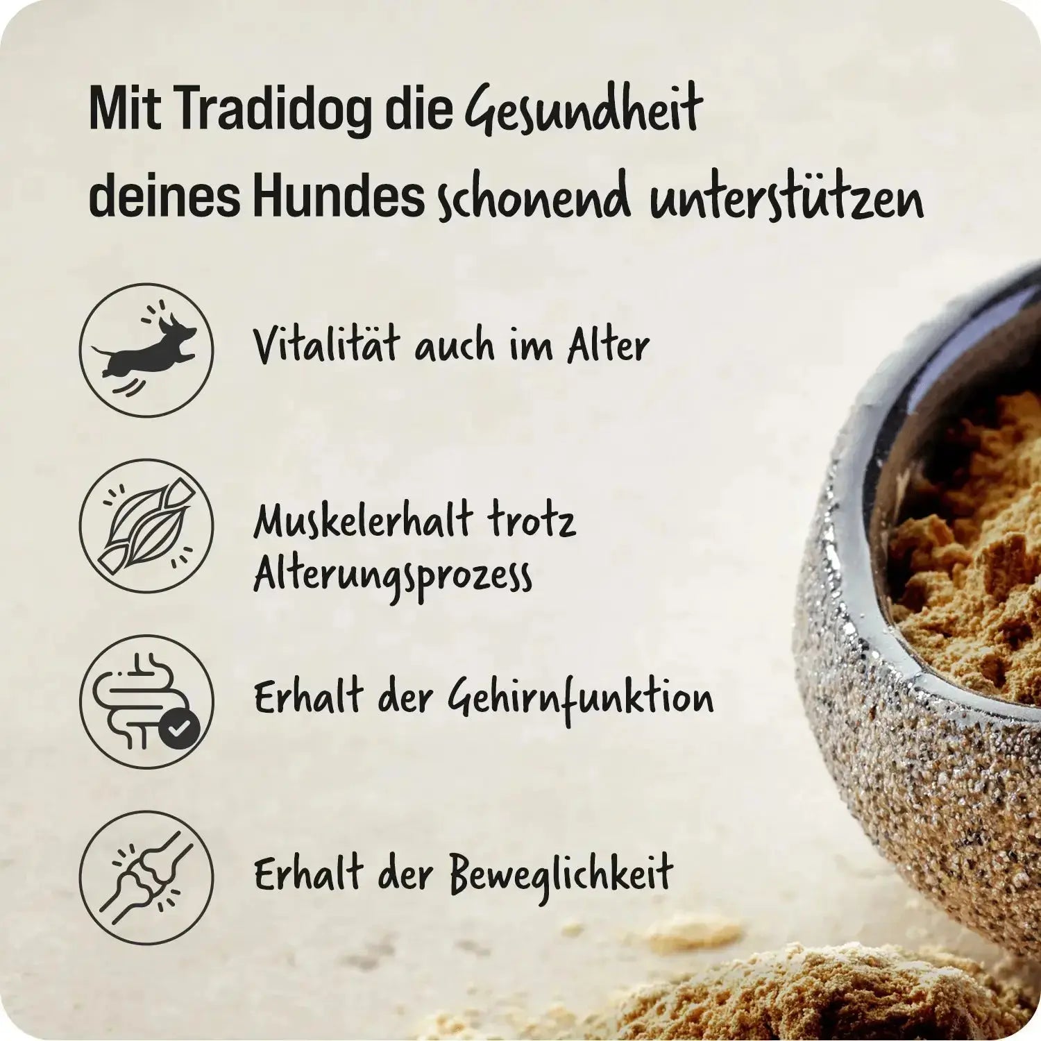 حزمة تجريبية لكبار السن