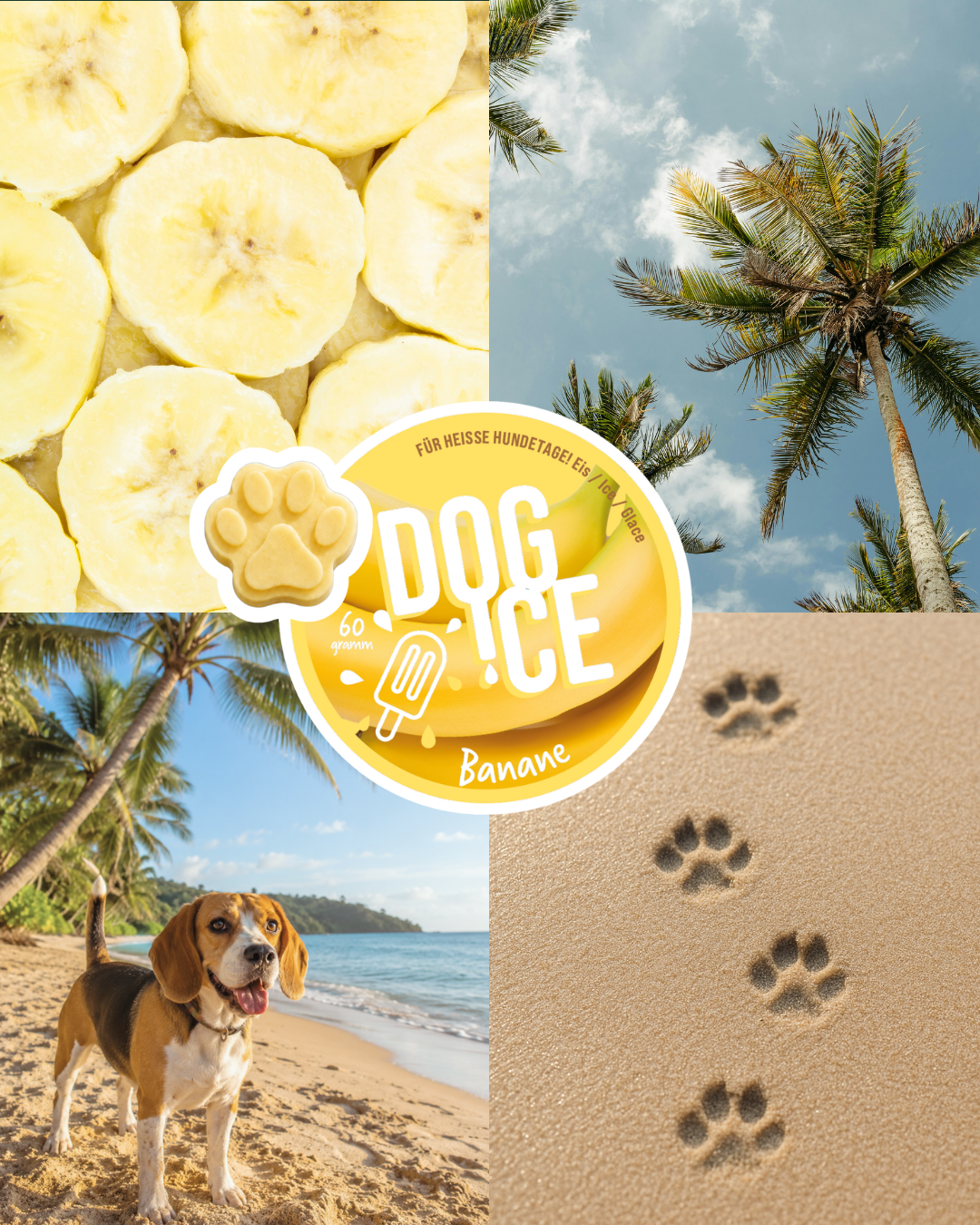 DOG-ICE Banane