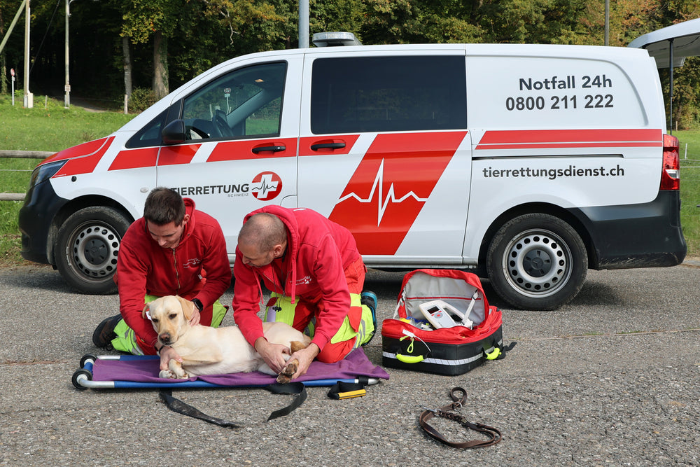 Team des Tierrettungsdienstes versorgt einen Hund neben dem Einsatzfahrzeug